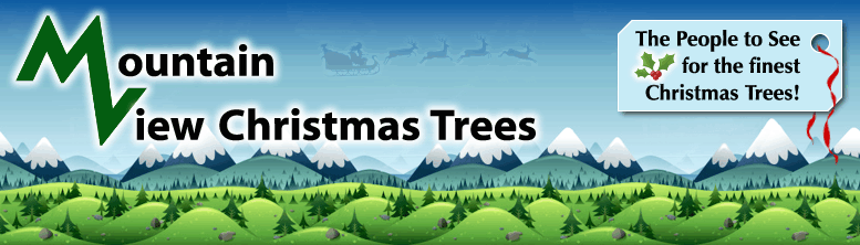 Wholesale Christmas Trees Alberta